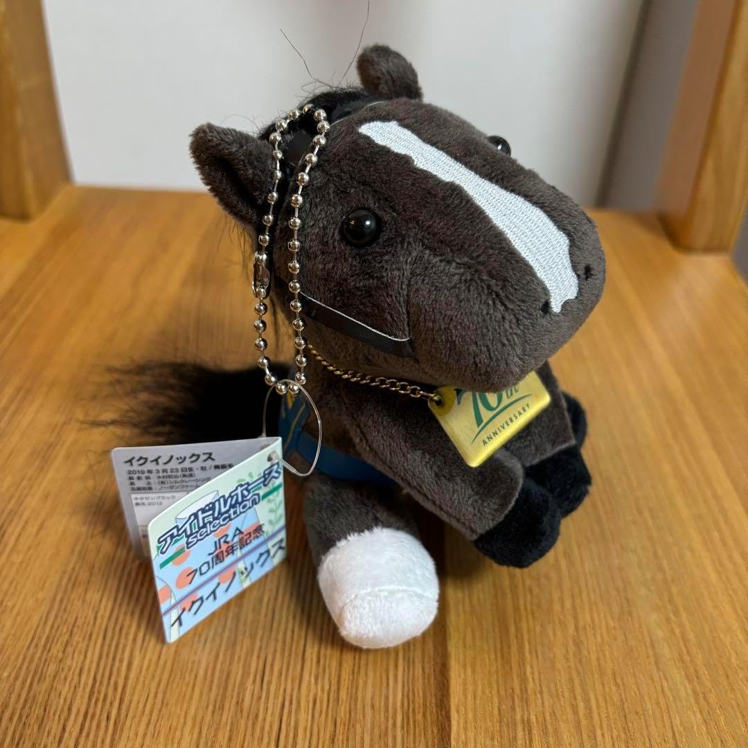 アイドルホースJRA70周年イクイノックス特別ゼッケン 競馬グッズ